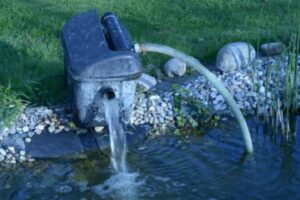 Can a Pond Pump Electrocute Fish? All You Should Know