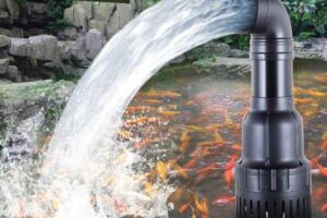 Can Pond Pump Be Too Powerful? Answered