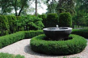 Here's Why Your Fountain Loses Water [9 Reasons & Quick Fix]